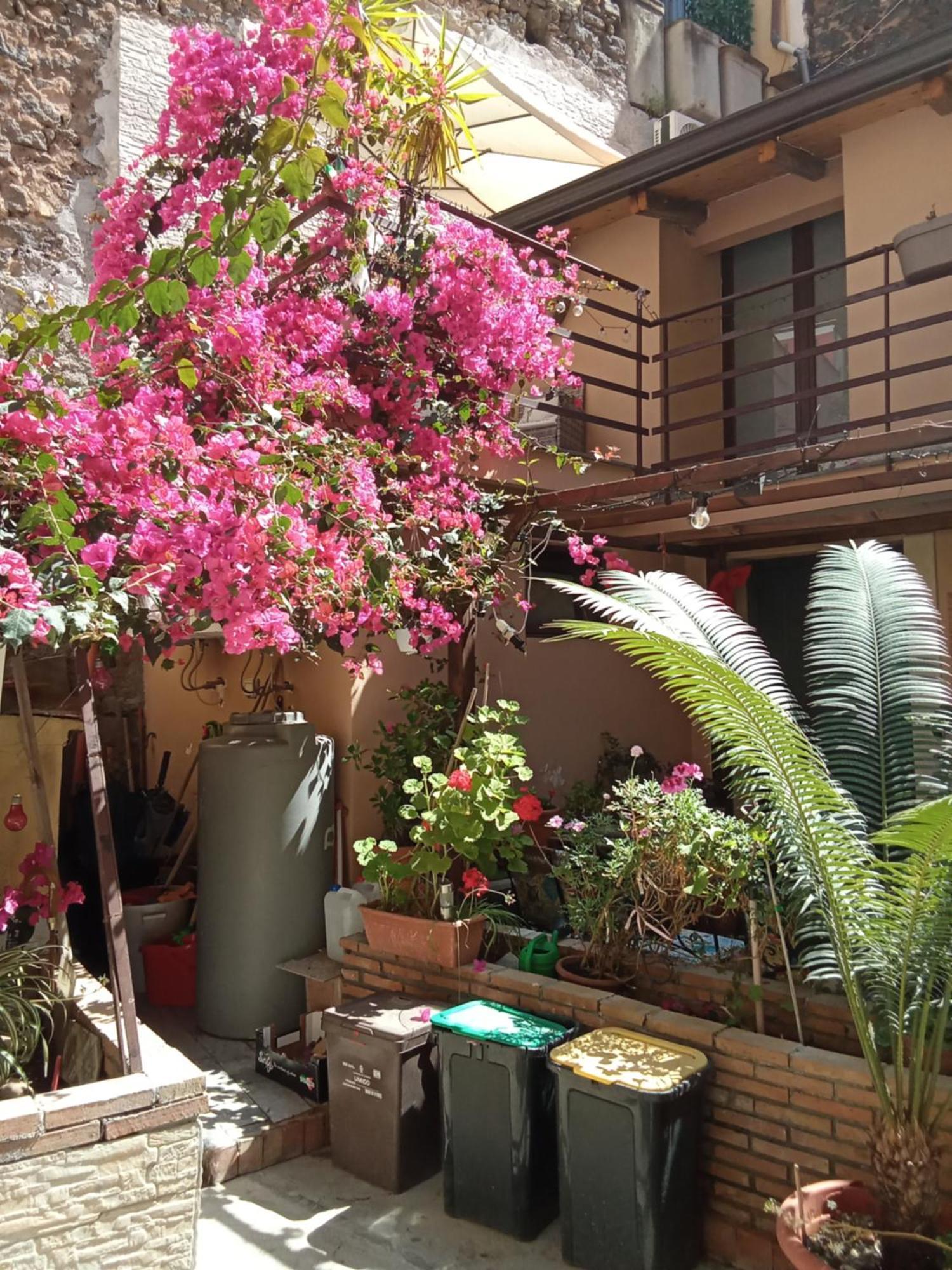 Mizzicahome Solemare Catania Bagian luar foto